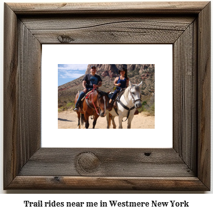 trail rides near me in Westmere, New York